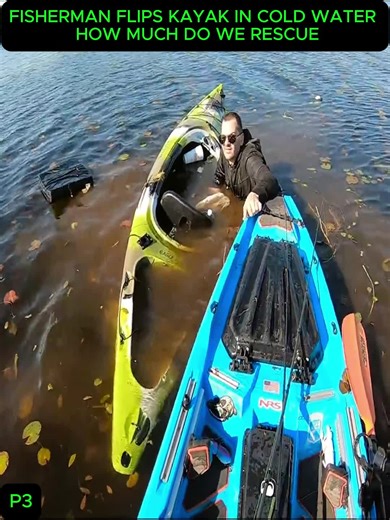 #criminal #knowledge #explain #shark #sighting