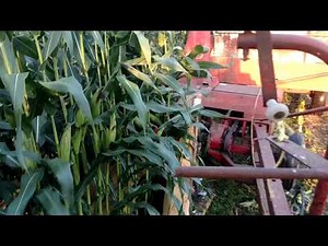 Got the new Holland 718 out chopping corn silage