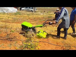 Grillo g55 maroc by la sud italia agricola