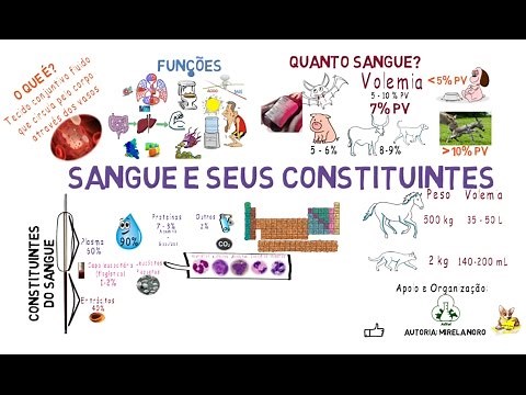 Sangue e seus constituintes