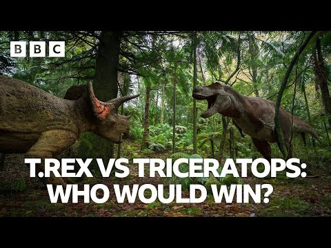 T.rex vs Triceratops: who would win? | Walking with Dinosaurs - BBC