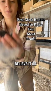 87K views · 3K reactions | “We raise Silver Fox rabbits here on our...