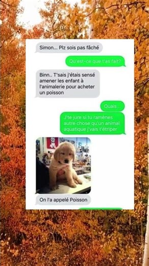Ils ont pris un chien ! 😂 #memes #chill #humour #foryou