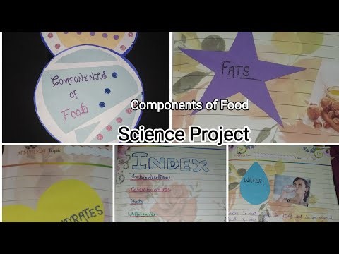 Components Of Food|| Science Project||Class 6|| Creative Ways