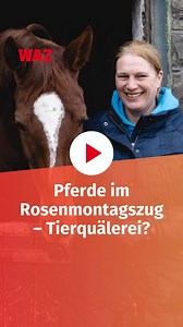 1.1K views · 12 reactions | Evelyn Schmitz bringt in ihrer Reitschule Biesenbach im Bergischen Land vor allem Kindern das Reiten bei.  Es ist aber auch einer von mehreren Reiterhöfen im Land, die Pferde auf den Rosenmontagszug vorbereiten.  | WAZ | Facebook