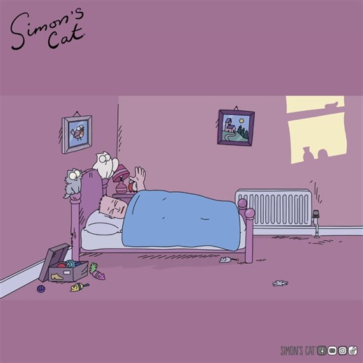1.8M views · 93K reactions | Trying to get to sleep with cats around is no joke! | Simon's Cat | Facebook