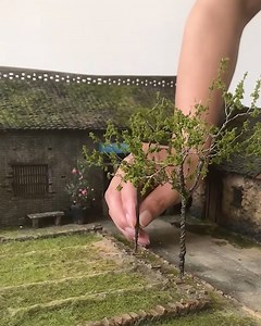 691K views · 38K reactions | Building miniature realistic houses! | Simple ideas | Facebook