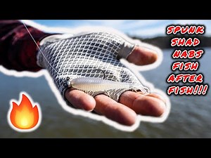 Spunk Shad Fishing!!! (FISH AFTER FISH!!!)