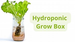 How To Make A Hydroponic Grow Box At Home (2025)