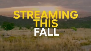 Peacock TV TV Spot, 'Streaming NBC Shows This Fall'