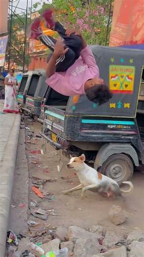 🐶🤸‍♂️ This pup just nailed an incredible flip! Skill, energy, and cuteness all in one#petshub