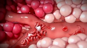 7.8K views · 639 reactions | Water Tribe!! Let's delve into understanding sickle cell anemia. It's crucial to undergo testing before embarking on family planning. This step can greatly benefit you. #DoctorOnTheGo #drmujajati #drinkwatercampaign | Dr. Mujajati Aaron | Facebook