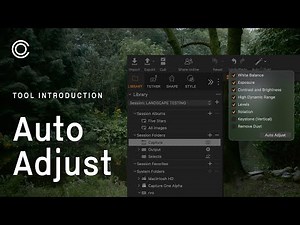 Capture One Tool Introduction | Auto Adjust