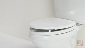 TOTO Traditional Elongated SoftClose Toilet Seat in Cotton White ss154#01