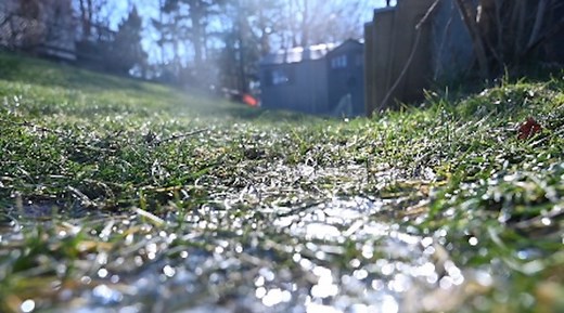 Here’s a sweet hack to give your garden a boost this year - The Weather Network