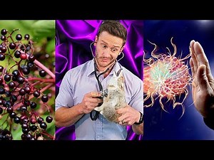 Elderberry vs. Illness- Does it Help?