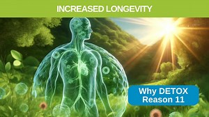 Live A Longer Life - Reason 11 - Why To Detox Your Body With Herbs Promote Longevity and Quality of Life​ in these ways: Cellular and Systemic Health: Supports longer life and better health by maintaining cellular integrity and reducing the burden of toxins. (via autophagy) Enhances Nutrient Absorption: Detoxification can improve nutrient absorption by clearing blockages in the digestive tract and ensuring vital nutrients are assimilated more effectively. Visit today's Page Here https://www.bret