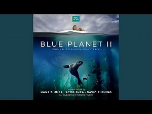 The Blue Planet