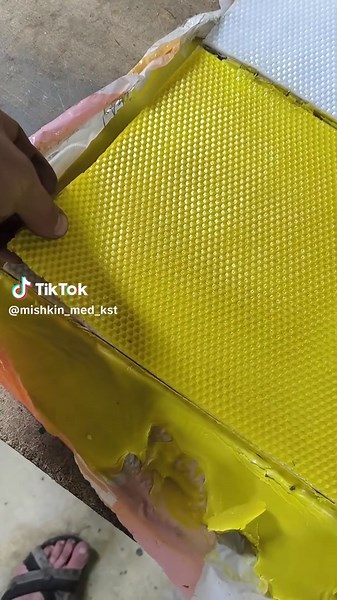 Вощина и пчеловодство: как работать с пчелами