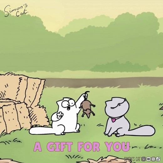 Simon's Cat on Instagram: "All hands on deck to seduce Chloe..."