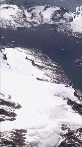 In the vast Arctic waters, one creature reigns supreme: the killer whale, also known as the orca. A majestic and powerful presence in a frozen world. #Orca #KillerWhale #Arctic #MarineLife #Wildlife | Real Wild