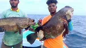 155K views · 2.6K reactions | Back to Back Monster Goliath Grouper fishing | Kadal Raasa Fishing | Facebook