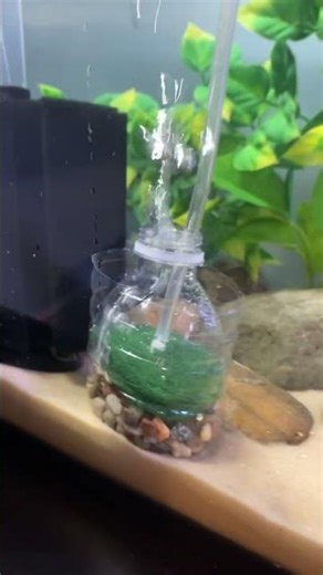 DIY fish tank sponge filter #Spongefilter