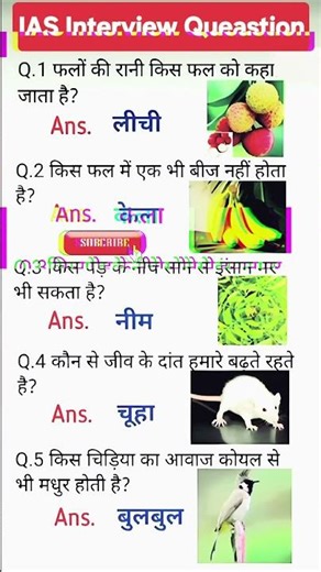 Quiz 🚀 || Gk questions and answers || #gk #short #marriageproposals #freerishta