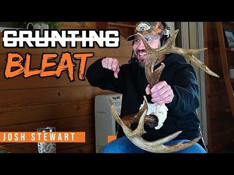 Why a Doe Bleat Works Better Than a Grunt for Seeking Bucks