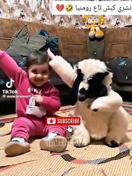 كبش رومانيا 😍❤ نشري كبش تاع رومانيا 🇩🇿