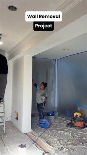 Wall Removal Project