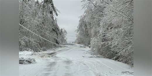 Northern Michigan gets $1 million for recovery