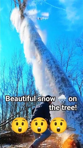 Beautiful snow 🌨️ on the tree and Fall