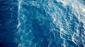 43K views · 74 reactions | Water is critical—and it's in crisis. These four future architects are hard at work developing new paths to protect this invaluable resource. https://autode.sk/36XRckW | Autodesk | Facebook