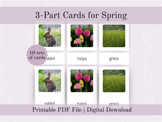 Spring Season 3 Part Cards for Montessori Preschool Curriculum | Printable Three Part Flash Cards for Early Literacy & Language Development - Etsy