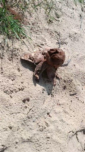 кто знает что это такое?