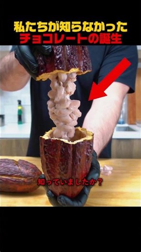 私たちが知らなかったチョコレートの誕生