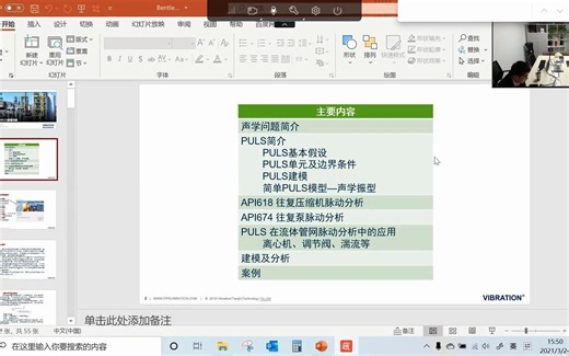 Bentley PULS脉动分析