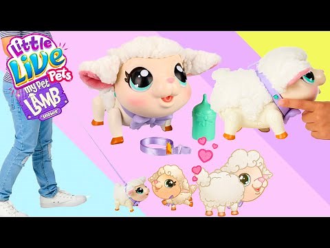 New Little Live Pets My Pet Lamb Snowie Toy Unboxing | SUPER CUTE & FUN Interactive Toy