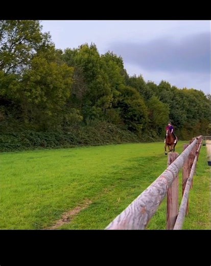 #reiten #horse #equestrianjourney #equestrian