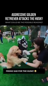 3.2K views · 30 reactions | In the video, a woman is seen petting a...