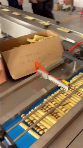 Egg Roll Counting & Packing System | Fast, Accurate, Ready for Scale #factory #foodpacking