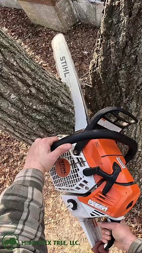 Chain them, cut them! #treework #arborist #arbortec #treemaintenance #treesurgeon #arbortec #logging #treecutting #treeservice #chainsaw #stihl