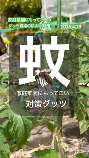[Perfect for home gardening] Effective against mosquitoes #mosquitoes