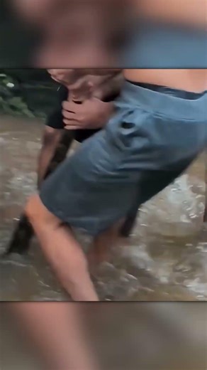 They Pulled a Giant Python Out of the Drain During a Flood