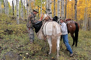 How to Pack and Quarter Game Meat in the Field - Petersen's Hunting