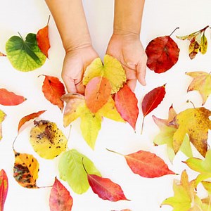 5 Minute Beautiful Leaf Prints Art (& 3 Secret Tips)