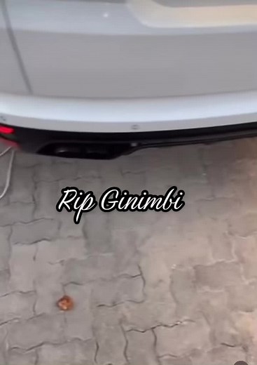 Ginimbi's House and Burial: A Tribute to Zimbabwe's Millionaire