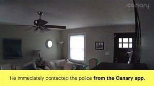 1.3M views · 1.9K reactions | With Canary, local police are just a tap away—no matter where you are. | Canary | Facebook