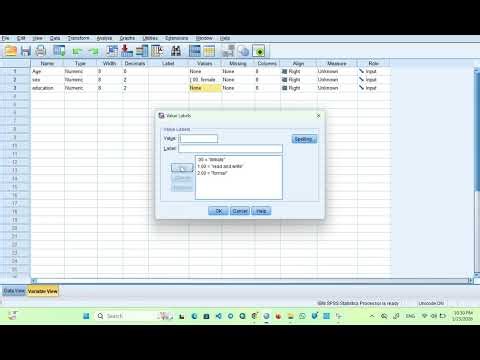data entry and value label in SPSS